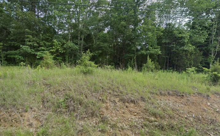 Pictures of Land property located at blue bird rd, falls of rough, KY 40119 for sales - image #1