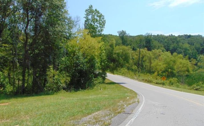 Pictures of Land property located at 01 Gordon Terry Pkwy, Decatur, AL 35601 for sales - image #1