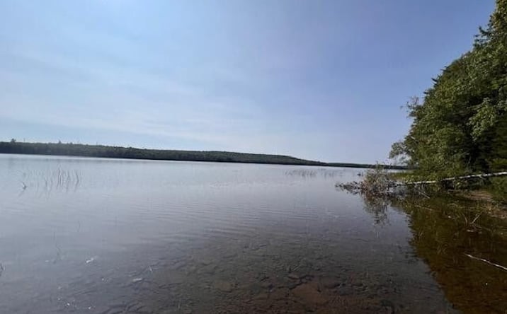 Pictures of Land property located at Woodland Ridge Road, Danforth, ME 04424 for sales - image #1