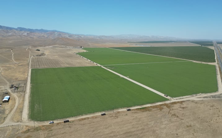 Pictures of Land property located at 15± mi. NE of Coalinga, Coalinga, CA 93210 for sales - image #1