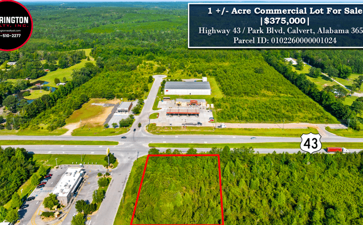 Pictures of Land property located at Highway 43, Calvert, AL 36560 for sales - image #1