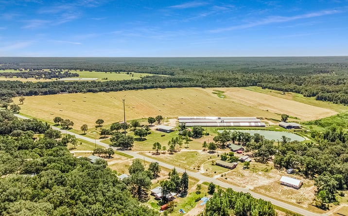Pictures of Business for Sale, Land property located at 1110 W Hwy-280, Reidsville, GA 30453 for sales - image #1