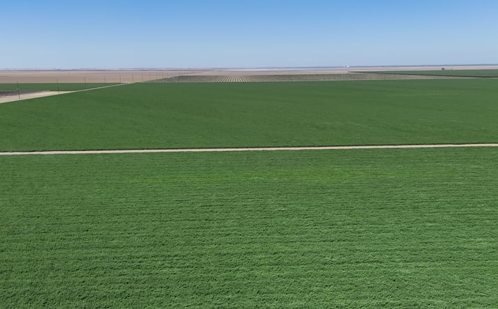 Pictures of Land property located at 29922 W Mountain View Ave, Cantua Creek, CA 93608 for sales - image #1