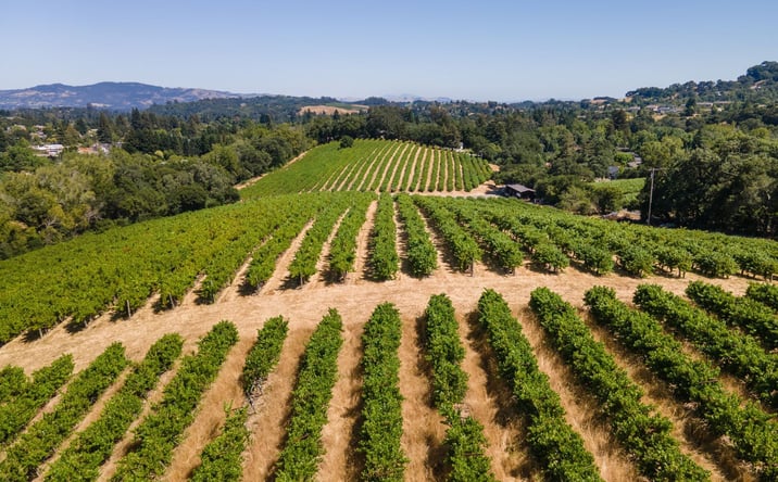 Pictures of Land property located at 1250 Partrick Road, Napa, CA 94558 for sales - image #1