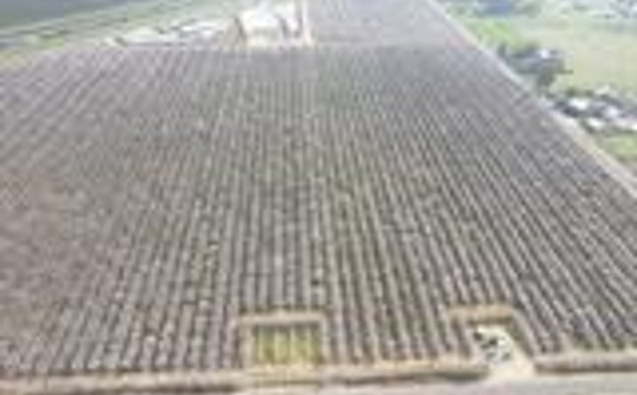 Pictures of Land property located at 0 APN 029-190-024-000,Madera, CA  93637, Madera, CA 93637 for sales - image #1