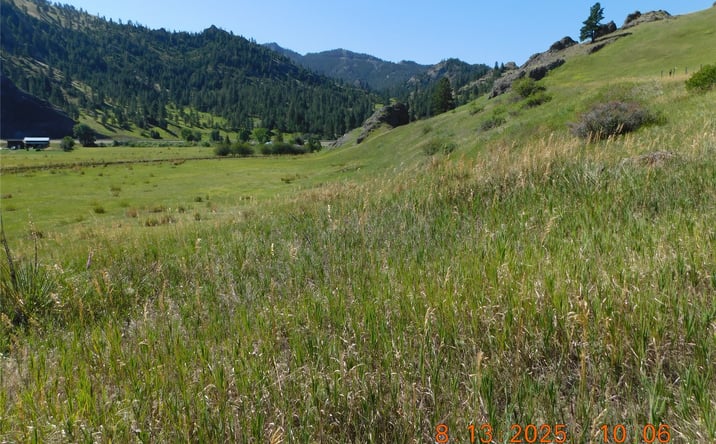 Pictures of Land property located at lot 002 Pioneer Trail Lane, Cascade, MT 59421 for sales - image #1
