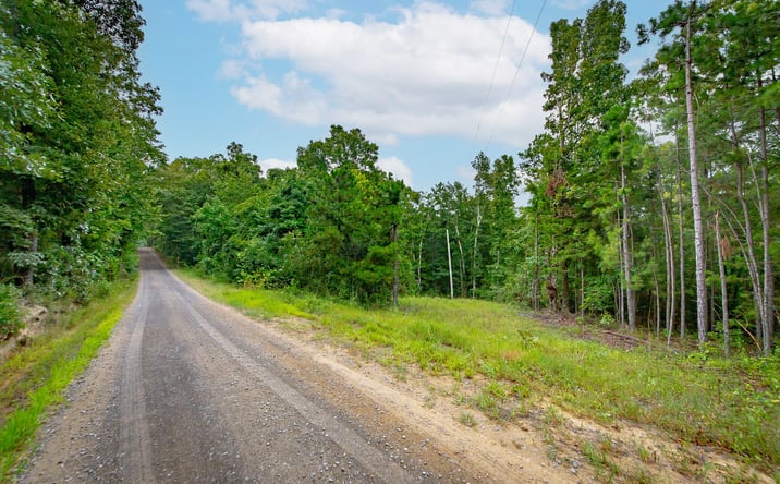 Pictures of Land property located at 441 Holly Leaf Road, Bee Branch, AR 72013 for sales - image #1