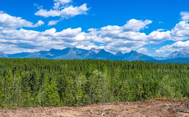 Pictures of Land property located at 11680 North Fork Road, Polebridge, MT 59928 for sales - image #1