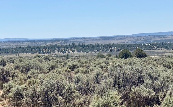 Pictures of Land property located at 3231 NM 112, Tierra Amarilla, NM 87575 for sales - image #1
