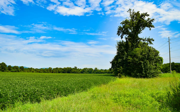 Pictures of Land property located at 8924 Highway 431 South, Owens Cross Roads, AL 35763 for sales - image #1