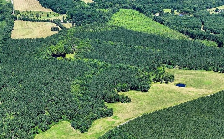 Pictures of Land property located at 1094 White Oak Forks Road, Virgilina, VA 24598 for sales - image #1