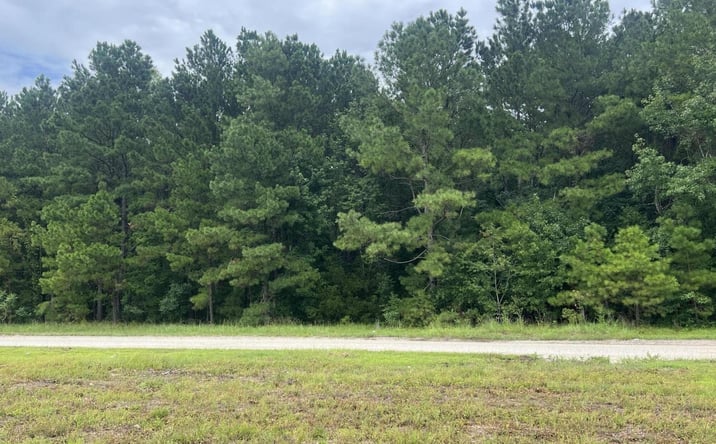 Pictures of Land property located at Herring Dr, Wyboo, SC 29102 for sales - image #1