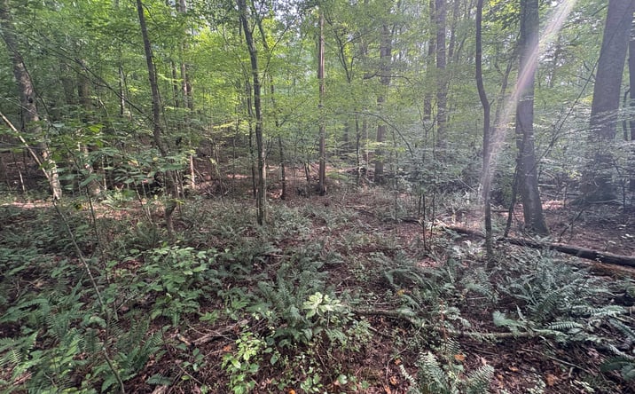 Pictures of Land property located at 9160 Union Hill Road, Canton, GA 30115 for sales - image #1