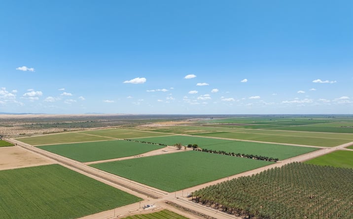 Pictures of Land property located at Young and Kaiser Roads, Calipatria, CA 92233 for sales - image #1