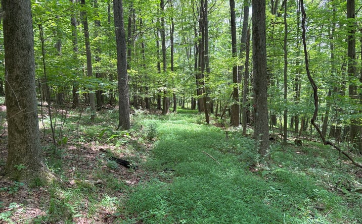 Pictures of Land property located at 00000, Boswell, PA 15531 for sales - image #1