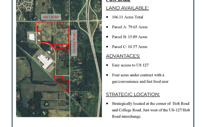 Pictures of Land property located at Holt Rd, Holt, MI 48911 for sales - image #1