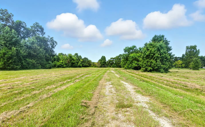 Pictures of Land property located at 19375 Highway 321, Cleveland, TX 77327 for sales - image #1