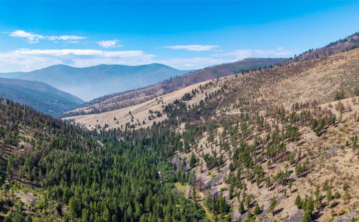 Pictures of Land property located at TBD Mclaughlin Creek Road, Paradise, MT 59856 for sales - image #1