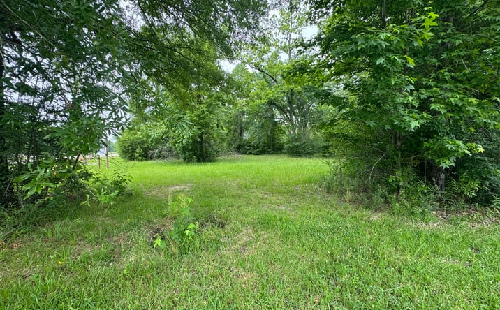 Pictures of Land property located at 12410 US-165, Glenmora, LA 71433 for sales - image #1