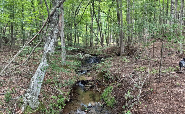 Pictures of Land property located at 140+/-  acres Hwy 100, Franklin, GA 30217 for sales - image #1