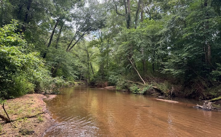 Pictures of Land property located at 180.14 ac Johnson Mill Road, Hamilton, GA 31811 for sales - image #1