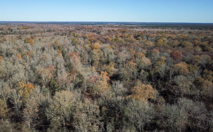 Pictures of Land property located at Arkadelphia 240 acres, Arkadelphia, AR 71923 for sales - image #1