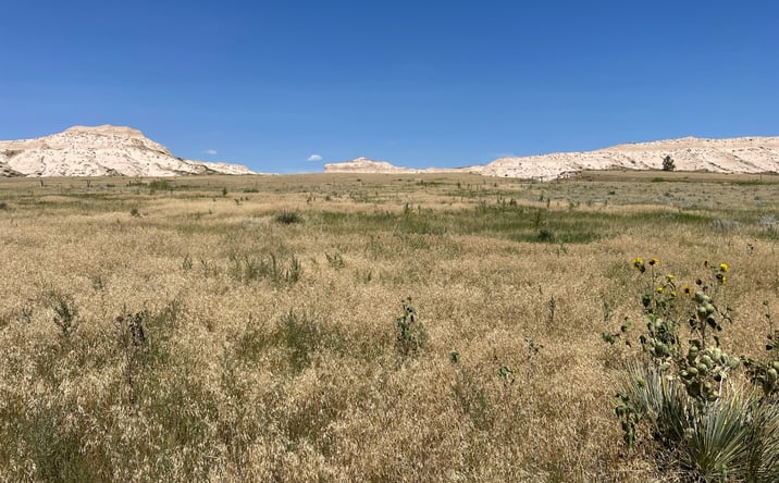 Pictures of Land property located at Scotts Bluff County Acreage, Scottsbluff, NE 69361 for sales - image #1