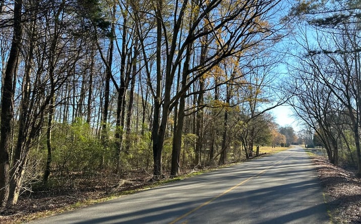 Pictures of Land property located at 000 County Road 236, Hatton, AL 35672 for sales - image #1