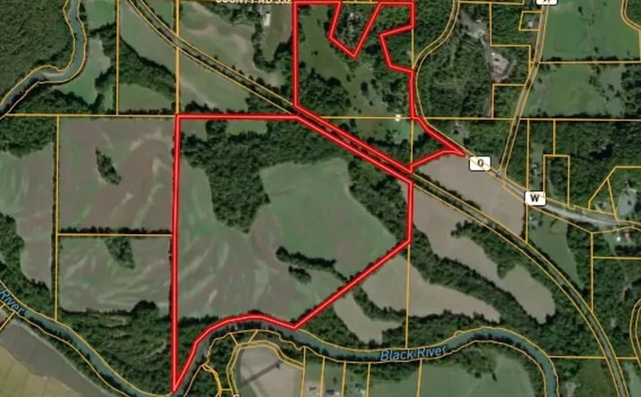 Pictures of Land property located at 291 Highway O, Poplar Bluff, MO 63901 for sales - image #1