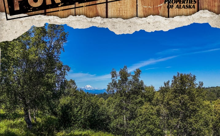 Pictures of Land property located at 15522 Tovarish Rd, Ninilchik, AK 99639 for sales - image #1