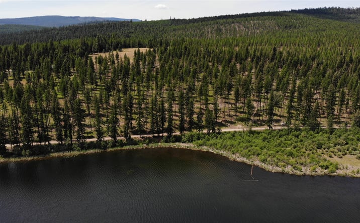 Pictures of Land property located at Commonly known as Tract 2 Old Railroad Grade Road in SWSW, Libby, MT 59923 for sales - image #1