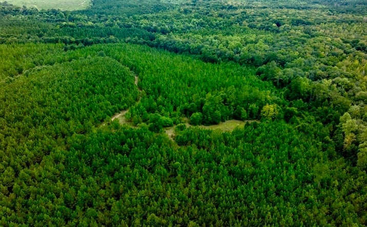 Pictures of Land property located at Les Smith Rd, Ellaville, GA 31806 for sales - image #1