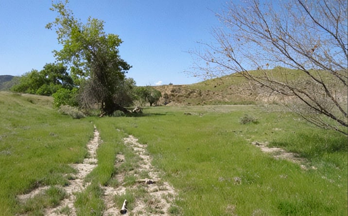 Pictures of Land property located at Hwy 198, Coalinga, CA 93210 for sales - image #1