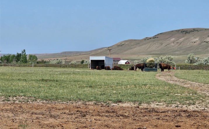 Pictures of Land, Mixed Use property located at 935 1st Avenue, Vaughn, MT 59487 for sales - image #1