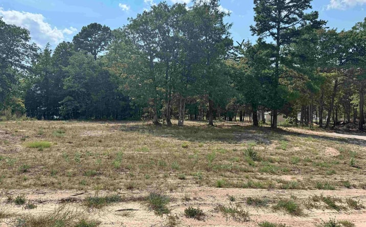Pictures of Special Purpose property located at 0000 FM 115, Scroggins, TX 75480 for sales - image #1