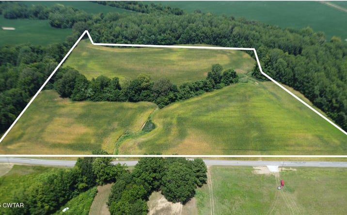 Pictures of Land property located at 00 Menzie Road, Dyersburg, TN 38024 for sales - image #1