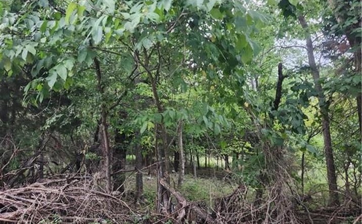 Pictures of Land, Special Purpose property located at 2 & 6 Shady Lane, Linn Valley, KS 66040 for sales - image #1