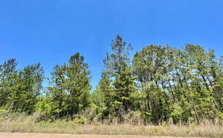 Pictures of Land property located at 1520 Will Cox Rd, Waycross, GA 31503 for sales - image #1
