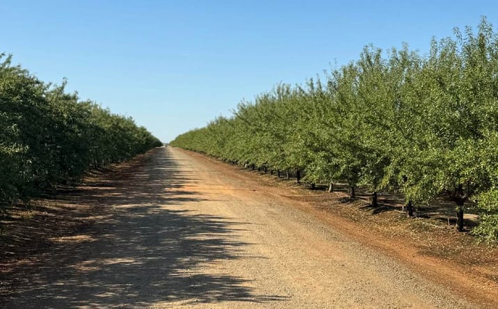 Pictures of Land property located at 81 Acres, Oroville, Oroville, CA 95953 for sales - image #1