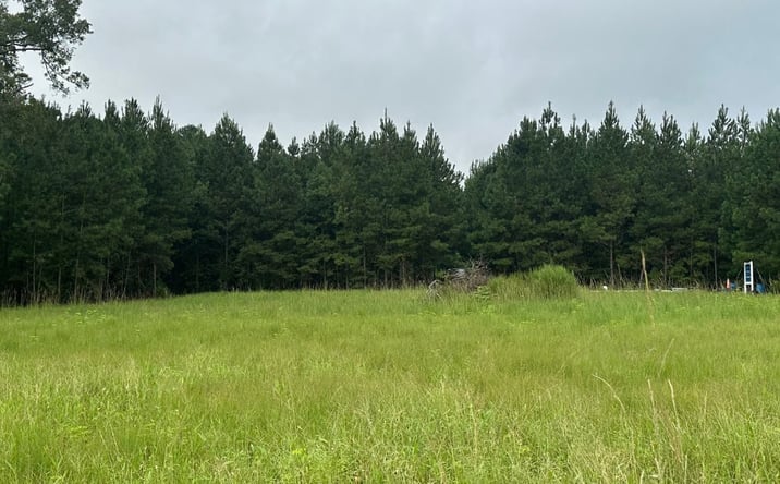 Pictures of Land property located at Hwy 67, Pembroke, GA 31321 for sales - image #1