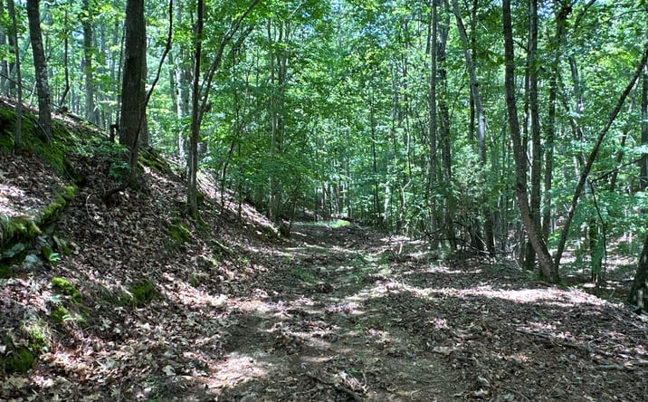 Pictures of Land property located at 0 Super Deluxe Rd, Rockmart, GA 30153 for sales - image #1