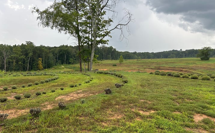 Pictures of Land property located at 361 County Road 170, Athens, TN 37303 for sales - image #1