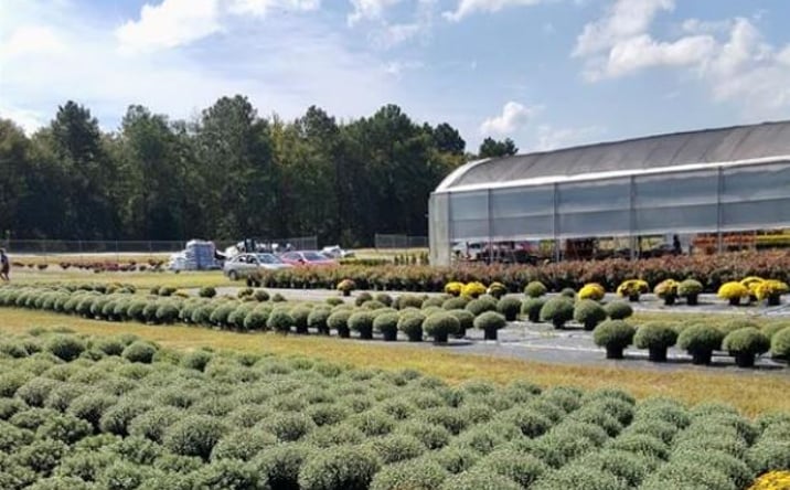 Pictures of Land, Mixed Use property located at 32544 Hwy 9 Highway, Pageland, South Carolina, Pageland, SC 29728 for sales - image #1