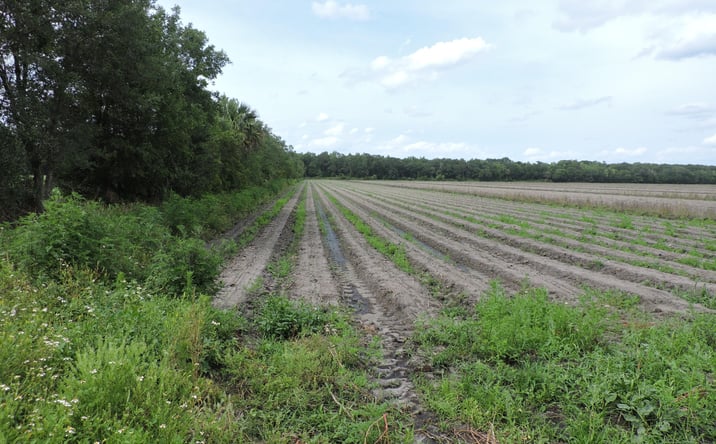 Pictures of Land, Multifamily property located at COUNTY ROAD 108, Bunnell, FL 32110 for sales - image #1