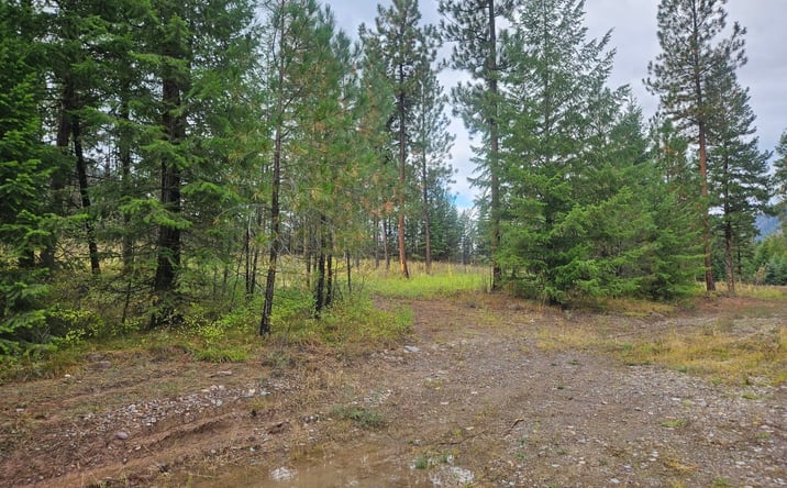 Pictures of Land property located at NHN Whitewater Lane, Alberton, MT 59820 for sales - image #1