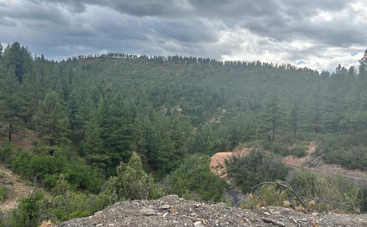 Pictures of Land property located at 17235 Hwy 160, Durango, CO 81301 for sales - image #1