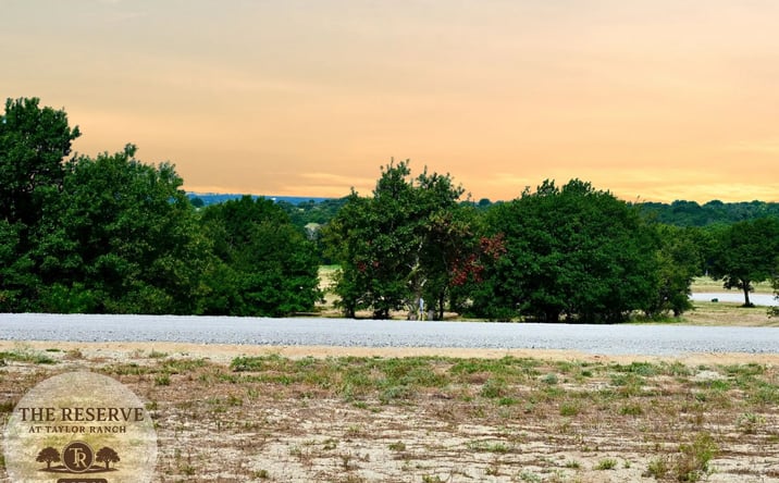 Pictures of Land property located at Lot 20 Colt Road, Springtown, TX 76082 for sales - image #1