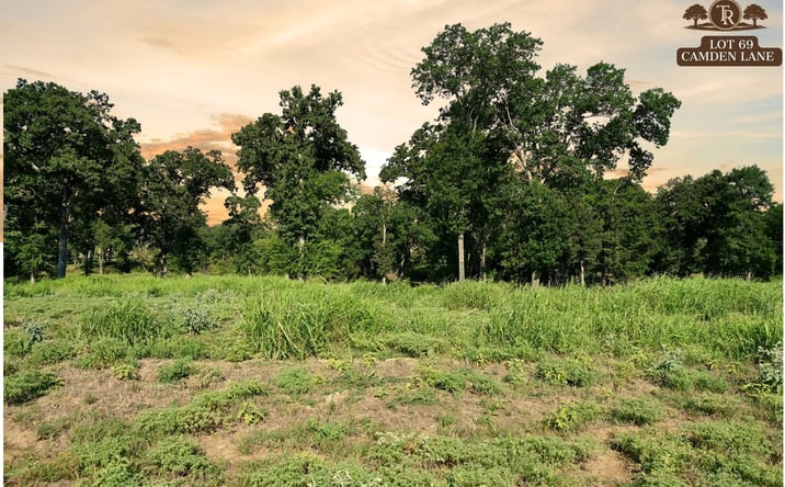 Pictures of Land property located at Lot 69 Camden Lane, Springtown, TX 76082 for sales - image #1