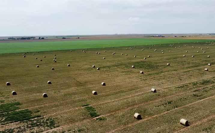 Pictures of Land property located at County Road 33, Genoa, CO 80818 for sales - image #1