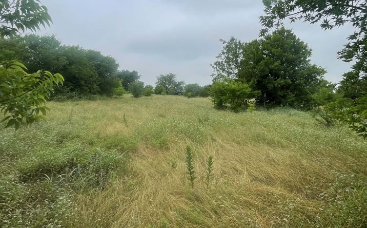 Pictures of Land property located at 139 County Rd 4713, Rhome, TX 76078 for sales - image #1